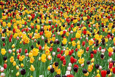 《英雄传说：黎之轨迹2》实机演示首爆 展示全新要素