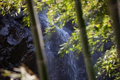 《碧海黑帆》被ESRB评为M级 有血腥暴力性暗示